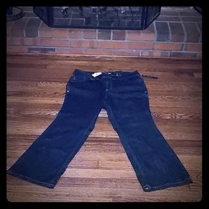 Lane Bryant Distinctly Boot cut jeans NWT
